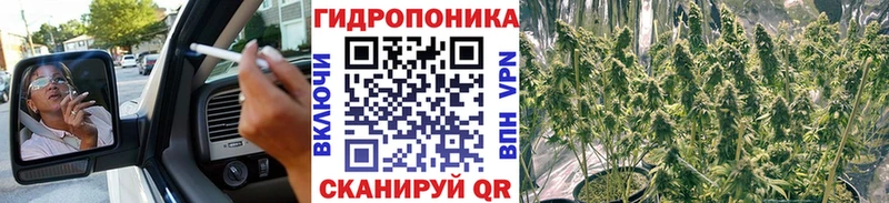 Бошки марихуана индика  Купить  Бирюч 